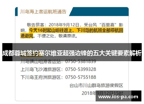 成都蓉城签约塞尔维亚超强边锋的五大关键要素解析