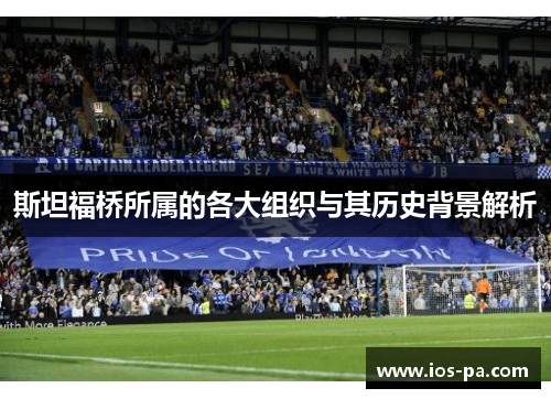 斯坦福桥所属的各大组织与其历史背景解析