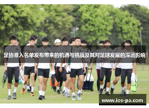 足协准入名单发布带来的机遇与挑战及其对足球发展的深远影响