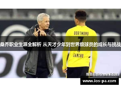 桑乔职业生涯全解析 从天才少年到世界级球员的成长与挑战