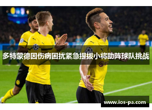 多特蒙德因伤病困扰紧急提拔小将助阵球队挑战