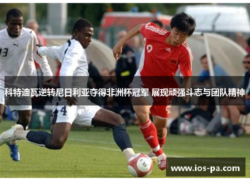 科特迪瓦逆转尼日利亚夺得非洲杯冠军 展现顽强斗志与团队精神