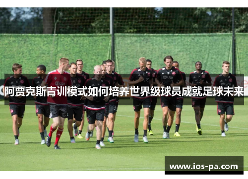 阿贾克斯青训模式如何培养世界级球员成就足球未来