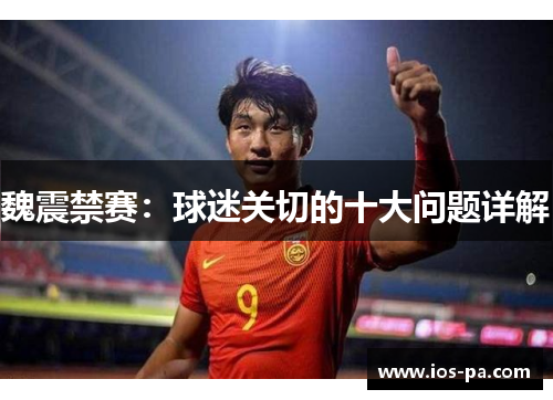 魏震禁赛：球迷关切的十大问题详解